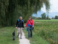 20170916 143142 : Hunde, Pudel, Pudeltreffen