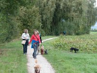 20170916 143308 : Hunde, Pudel, Pudeltreffen