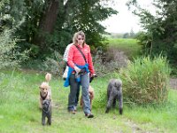 20170916 145242 : Hunde, Pudel, Pudeltreffen