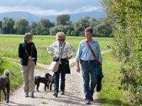 20170916 151751 : Hunde, Pudel, Pudeltreffen