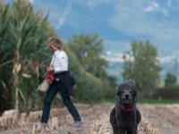 20170916 153830 -2 : Hunde, Pudel, Pudeltreffen