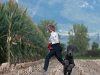20170916 153830 -3 : Hunde, Pudel, Pudeltreffen