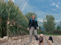 20170916 154014 -3 : Hunde, Pudel, Pudeltreffen