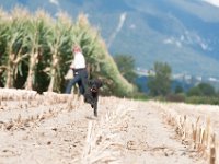 20170916 154235 : Hunde, Pudel, Pudeltreffen