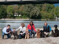 20170916 160411 : Hunde, Pudel, Pudeltreffen