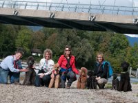 20170916 160423 -2 : Hunde, Pudel, Pudeltreffen