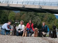 20170916 160424 : Hunde, Pudel, Pudeltreffen