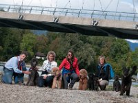 20170916 160425 : Hunde, Pudel, Pudeltreffen