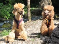 IMG 2689 bearbeitet-1