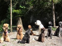 IMG 2690 bearbeitet-1