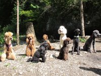IMG 2692 bearbeitet-1