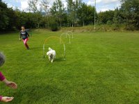 IMG 6179