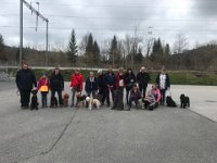 IMG 4823