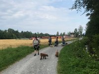 IMG 8186