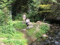 IMG 8193