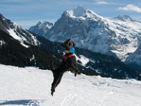 20150309 130523 -3 : Bussalp, Ferien / Ausflüge, Grindelwald, Interlaken, Jahreszeiten, Natur, Winter
